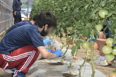 無題151_20250807142538