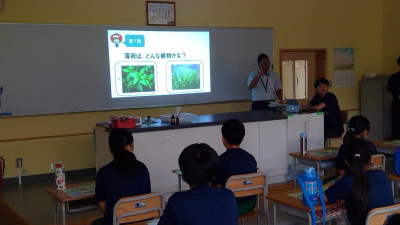 WIN_20250911_13_24_49_Pro