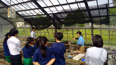 WIN_20250911_14_38_38_Pro