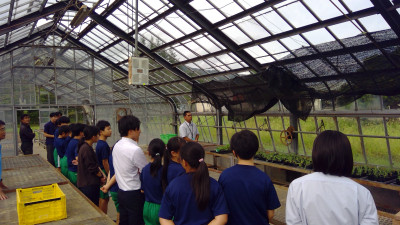 WIN_20250911_14_39_01_Pro