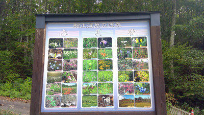 WIN_20251007_09_22_19_Pro