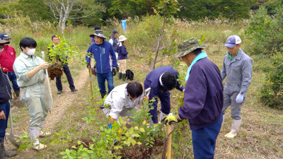 WIN_20251007_10_09_49_Pro