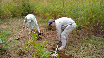 WIN_20251007_10_12_21_Pro