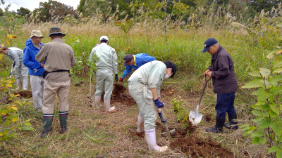 WIN_20251007_10_13_06_Pro