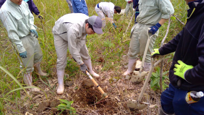 WIN_20251007_10_30_53_Pro