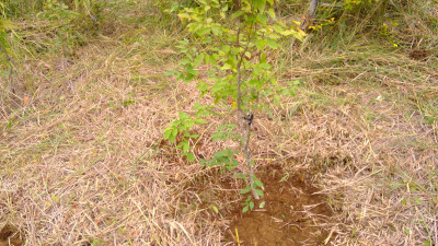 WIN_20251007_10_20_23_Pro