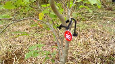 WIN_20251007_10_20_44_Pro