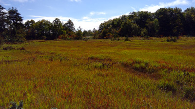 WIN_20251007_11_27_38_Pro